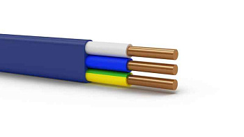 Русский Свет ВВГ-Пнг(A)-LS 3x1,5 ОК (N PE) 0.66кВ (уп.10м) ЭК000093311