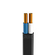 ВВГ-Пнг(A)-LS 2x2,5 ОК (N) 0.66кВ (уп.100м) Кабэкс ТХМ00136967