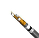 ААШв-10 3x185 ож (м) Кам11Ы63312600K010