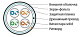 витая пара F/UTP кат.5E 4x2x24AWG solid PE Outdoor FUTP4-C5E-S24-OUT-PE-BK-500 черн. (м) Hyperline 49110