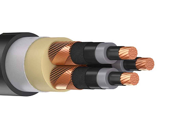 ПвВнг(А)-LS 3x70мк/25- 10кВ 