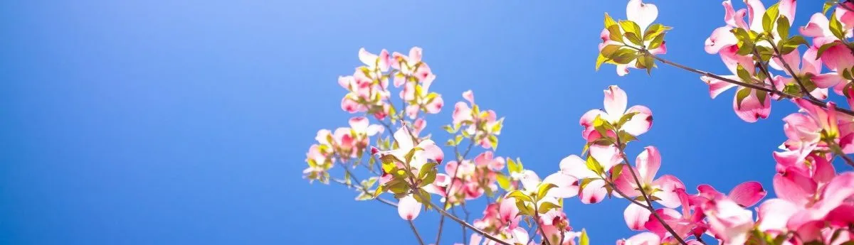 До 3 мая весенние цены! До 3 мая весенние цены!