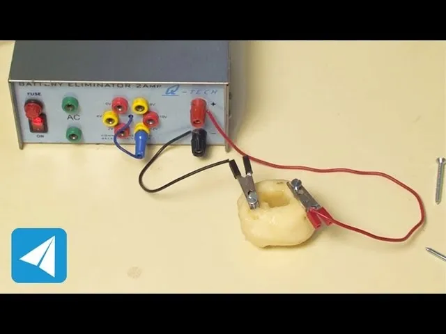 Определение полярности через картофель фото